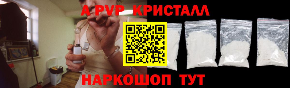 Alfa_PVP СК Волхов