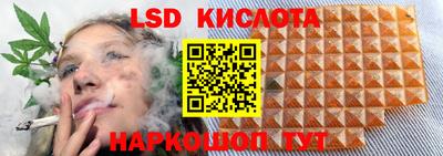 гашик Ирбит